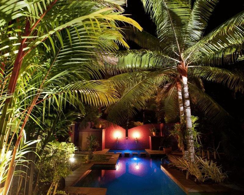Dreamcatcher Beach-Side Apartments Port Douglas Eksteriør bilde
